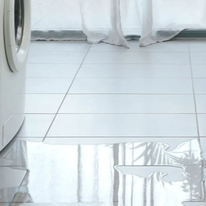 Appliance Leak Cleanup in Charlotte, TX