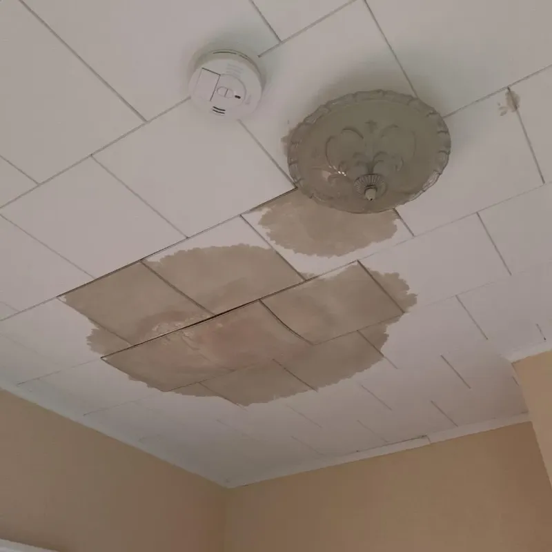 Ceiling Water Damage Repair in Charlotte, TX