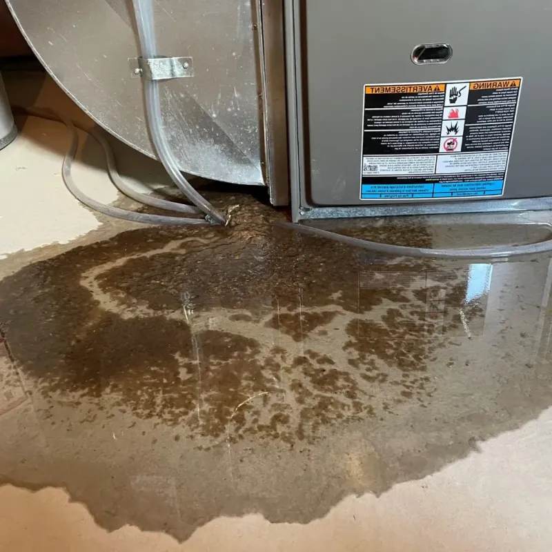 Pipe Burst and Leak Restoration in Charlotte, TX