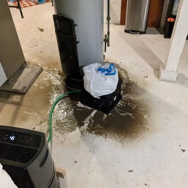 Sewage Backup Cleanup Service in Charlotte, TX